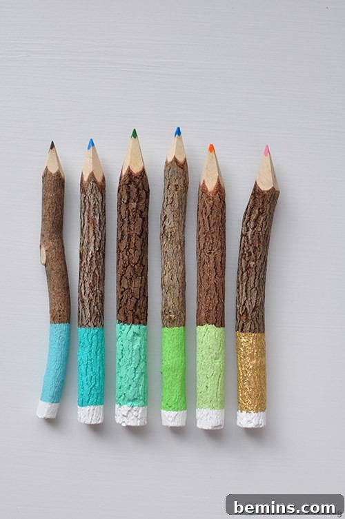 Creative Ways to Decorate Your Home with Twigs 8 DIY Twig Colored Pencils