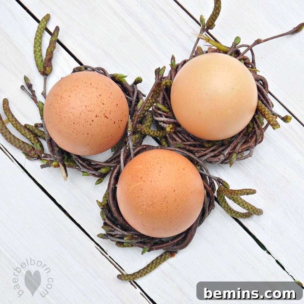 Creative Ways to Decorate Your Home with Twigs 10 DIY Mini Twig Wreaths for Easter