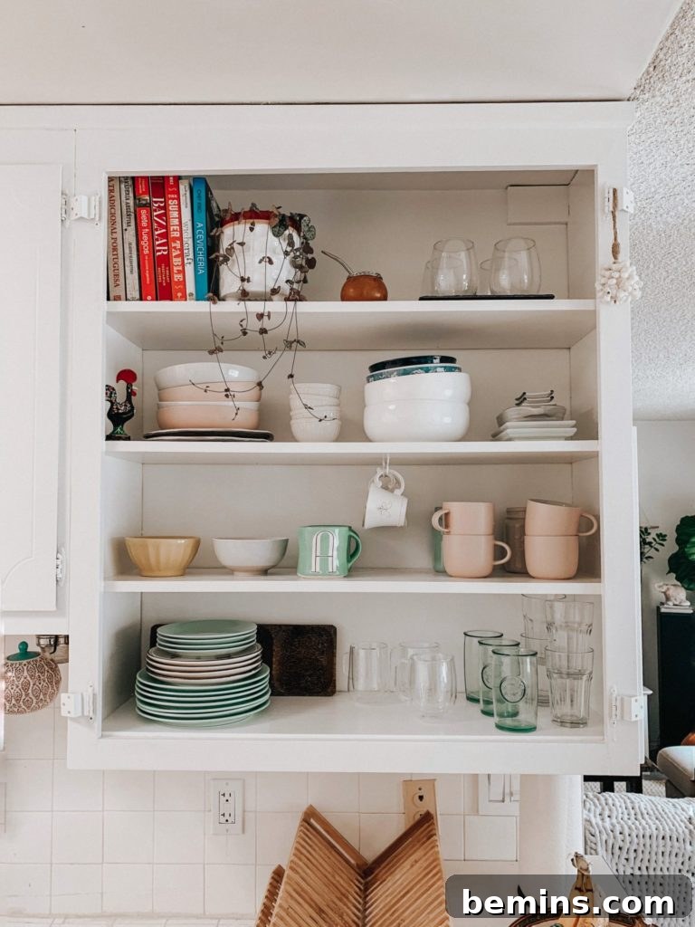 Open Kitchen Cabinets