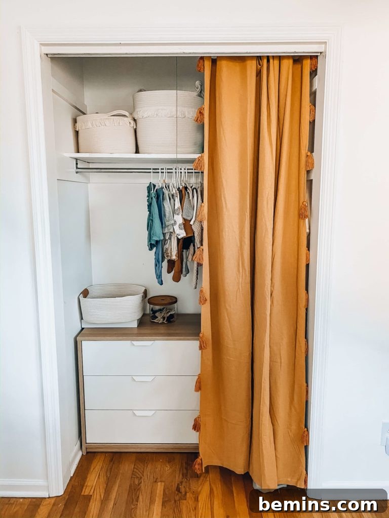 Closet Door Removal
