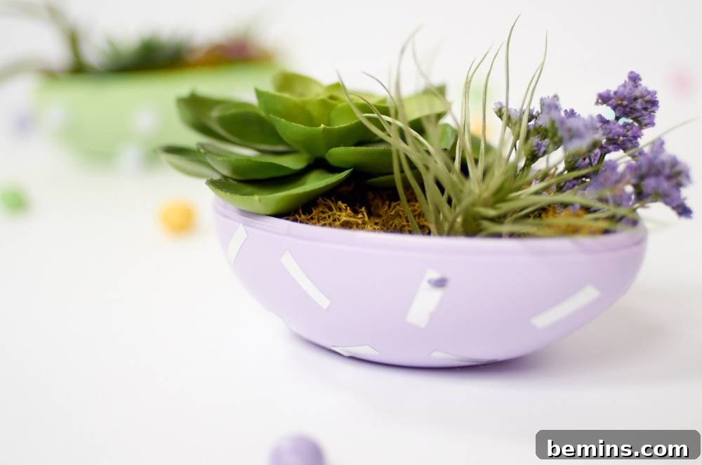 Succulents and flowers growing inside a small purple bowl.