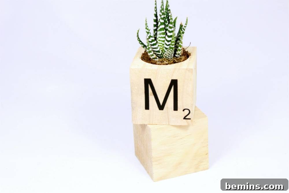 A block planter with a cactus in it and a capital M and a small number two on the side, displayed on a wooden surface.