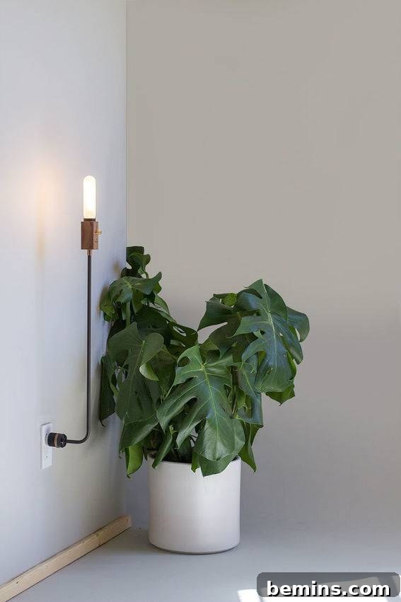 10 Stunning DIY Lighting Ideas No Electrician Required 4 A plug-in pendant light elegantly draped over a natural branch mounted on the wall, adding a unique, organic touch to the room.