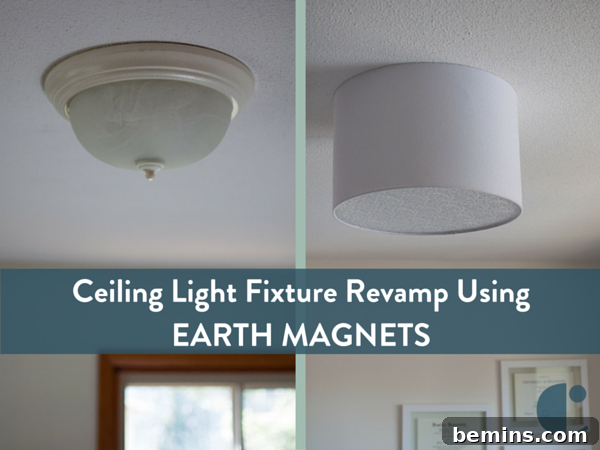 Magnetic light fixture shade Pinterest pic