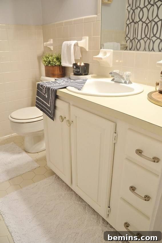 Renter Friendly Rental Properties - Updated Bathroom Hardware