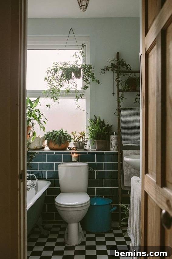 8 Ways to Reimagine Your Rental Bathroom 10 Add plants for decor Solutions for Rental Bathrooms