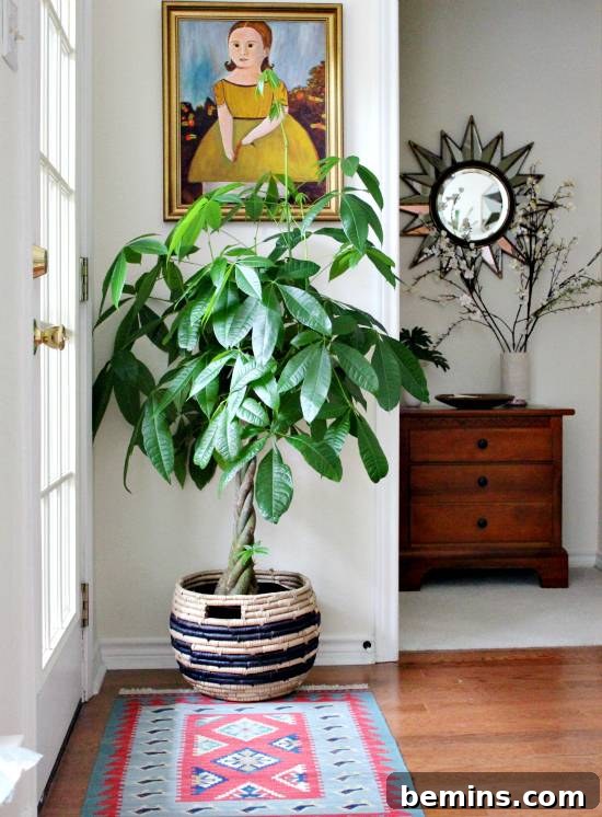 Money Tree