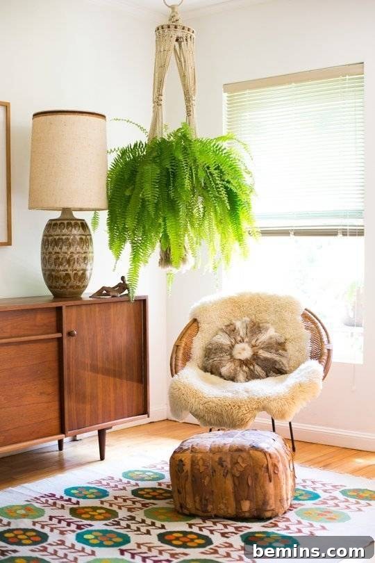 Boston Fern