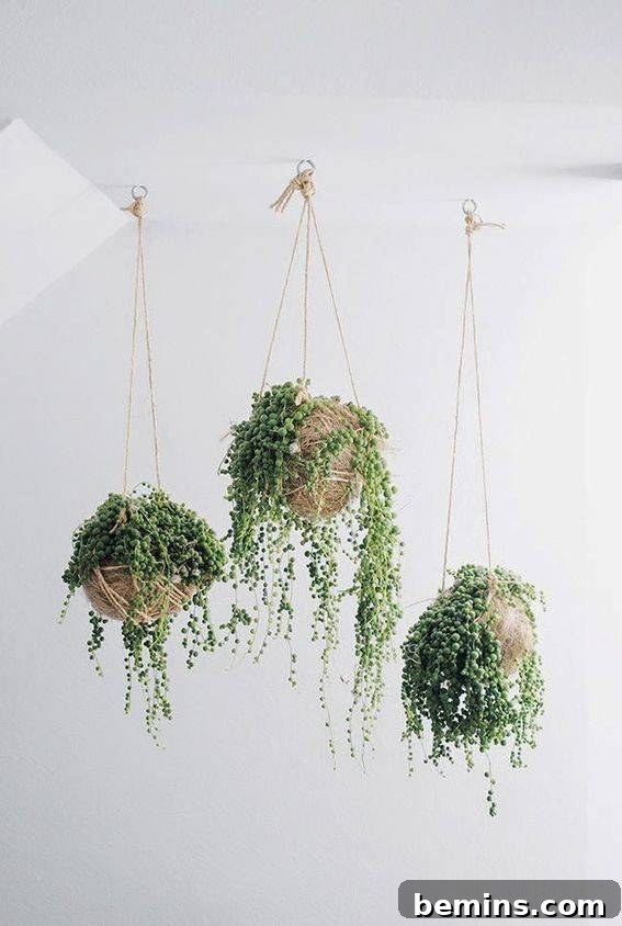 String of Pearls