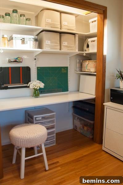 Maven's New Organized Craft Cubby