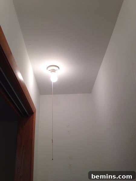 Bare Bulbs in Closet Before Transformation