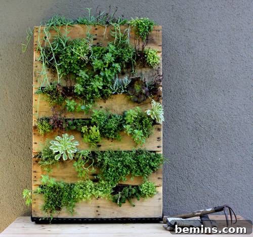 Pallets as Vertical Gardens