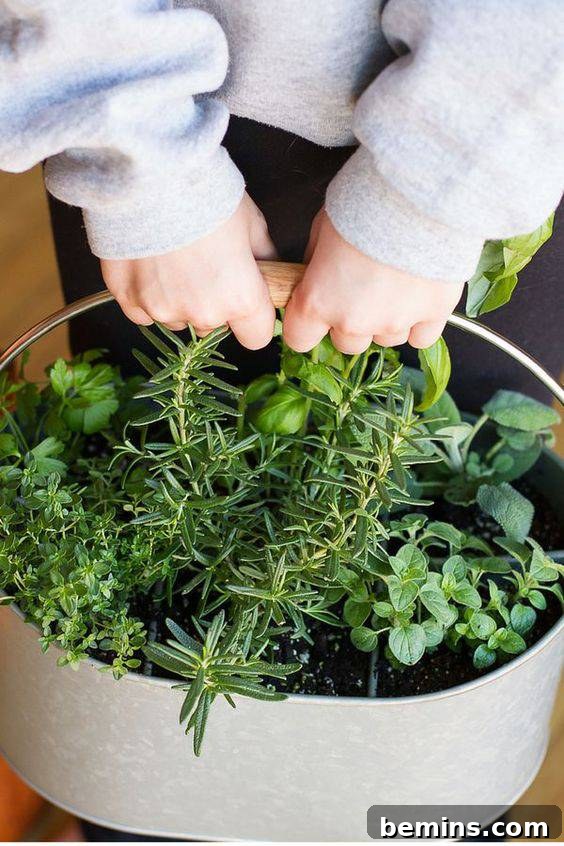 A Beginner's Guide to Growing Your Own Herb Garden 5 Creative Herb Garden Ideas