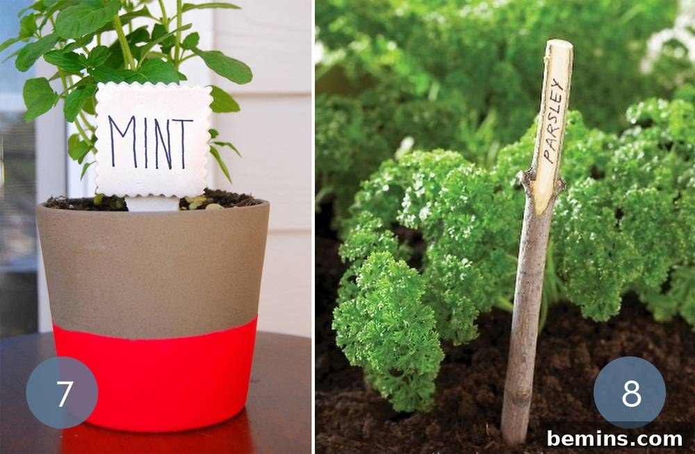 Creative DIY Plant Markers to Spruce Up Your Garden 6 DIY Plant Markers: Rainbow Plant Markers