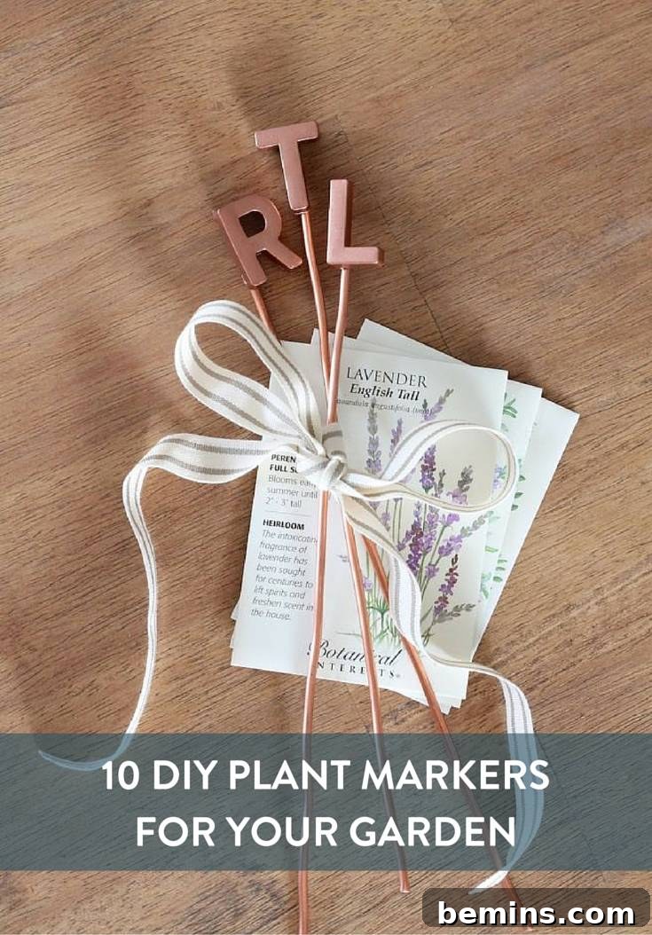 Creative DIY Plant Markers to Spruce Up Your Garden 8 DIY Plant Markers Collection