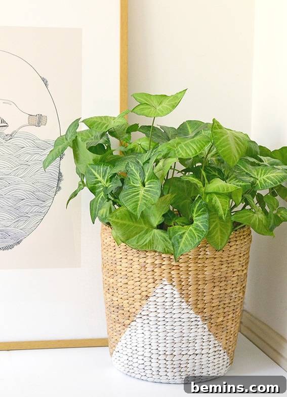 Roundup: 8 Indoor Plants You Can't Possibly Kill 3 Arrowhead plant in a woven basket, bringing natural beauty indoors.