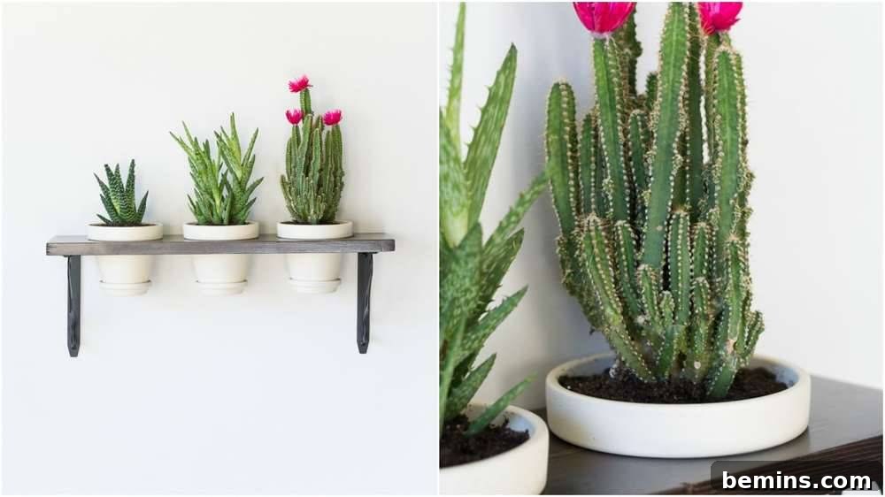 Hanging Indoor Garden Shelf