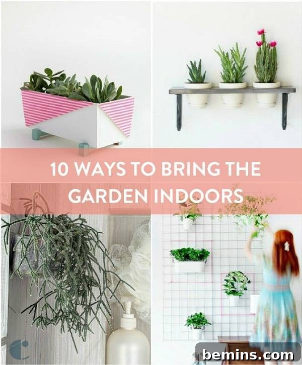 Indoor Garden Ideas
