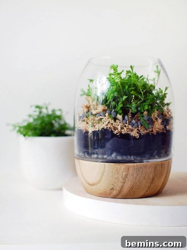 Mini Moss Garden in Candle Holder
