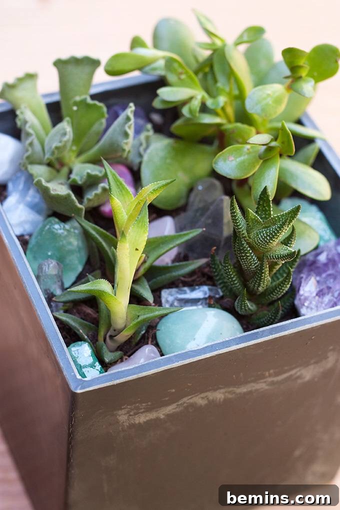 Crystal Succulent Garden Desk Accessory