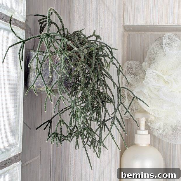 Botanical Shower Buddy