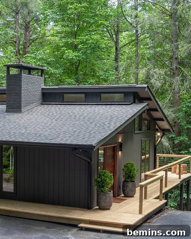 Dark exterior from Lucy and Company.