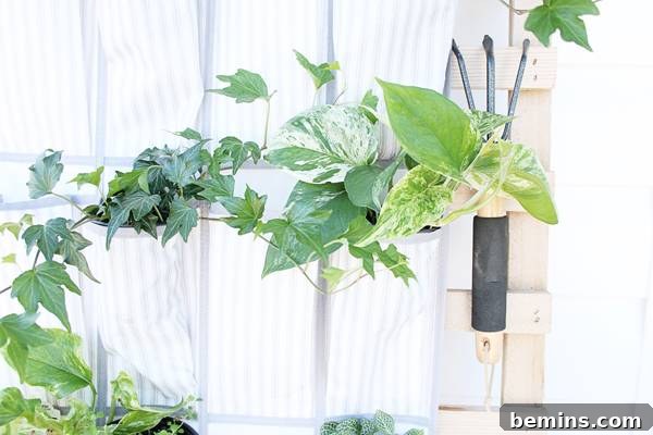 Repurposing a Shoe Organizer as a Vertical Garden 11 Vertical Planter with Herbs