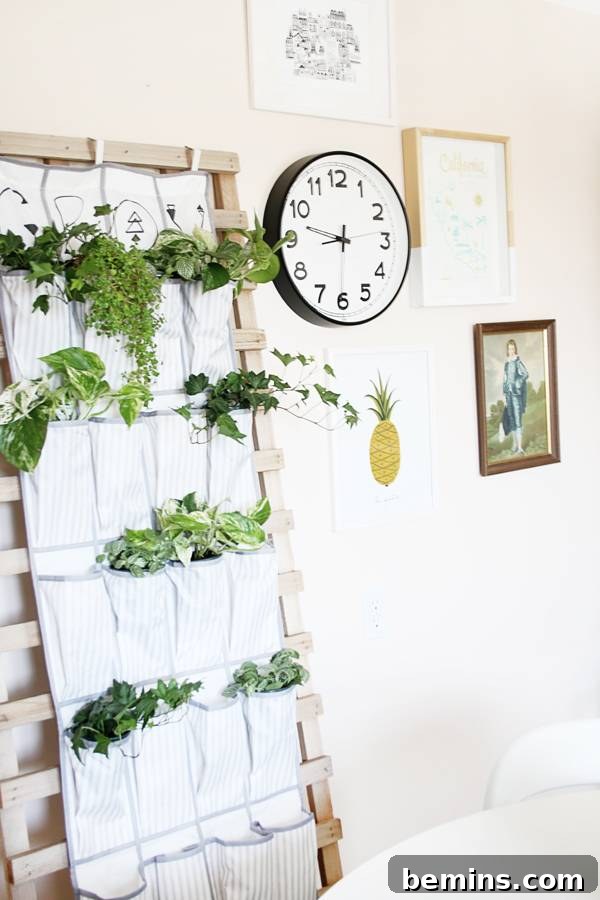 Repurposing a Shoe Organizer as a Vertical Garden 12 Hanging Vertical Garden with Flowering Plants