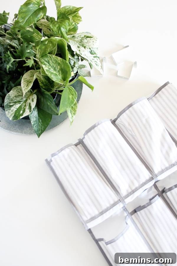 Repurposing a Shoe Organizer as a Vertical Garden 3 Shoe Organizer for Vertical Planter DIY