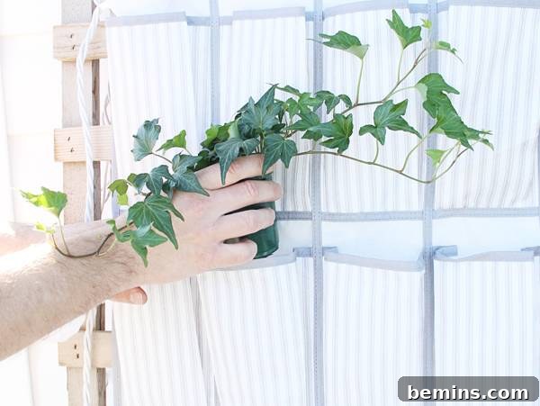 Repurposing a Shoe Organizer as a Vertical Garden 5 Placing Plants into Shoe Organizer Pockets