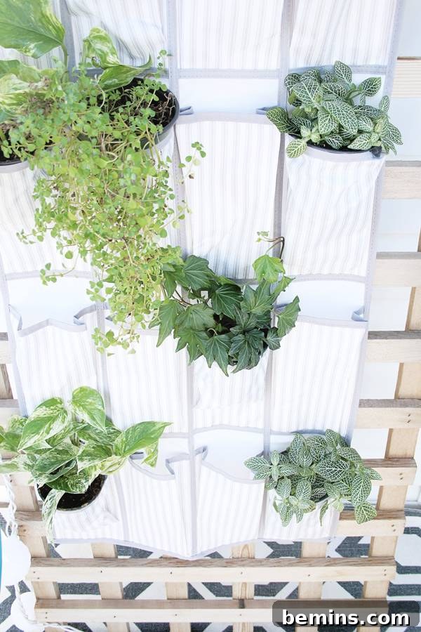 Repurposing a Shoe Organizer as a Vertical Garden 6 Hanging Vertical Planter on a Lattice