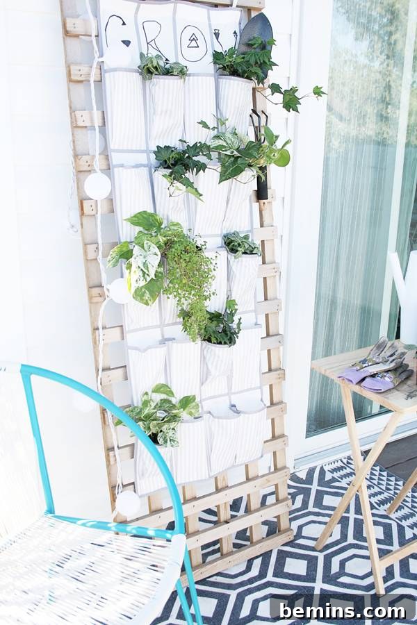Repurposing a Shoe Organizer as a Vertical Garden 7 Close-up of Plants in a Vertical Planter