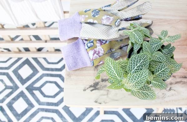 Repurposing a Shoe Organizer as a Vertical Garden 8 Vertical Planter with a Variety of Plants