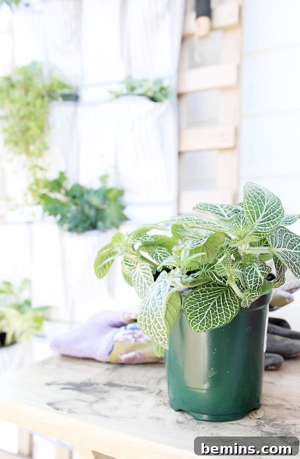 Repurposing a Shoe Organizer as a Vertical Garden 10 Close-up of Succulents in a Vertical Planter