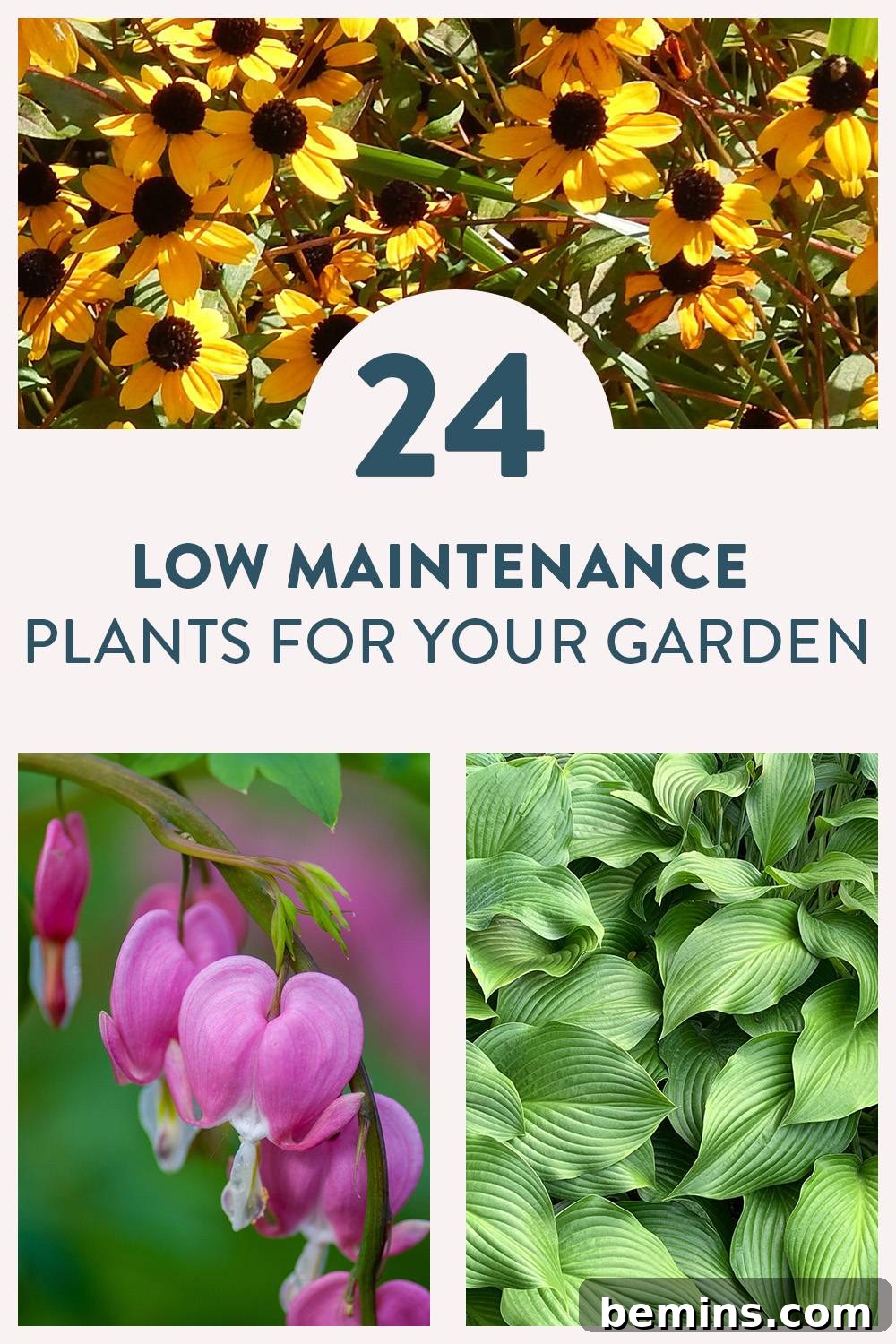low maintenance plants for any garden