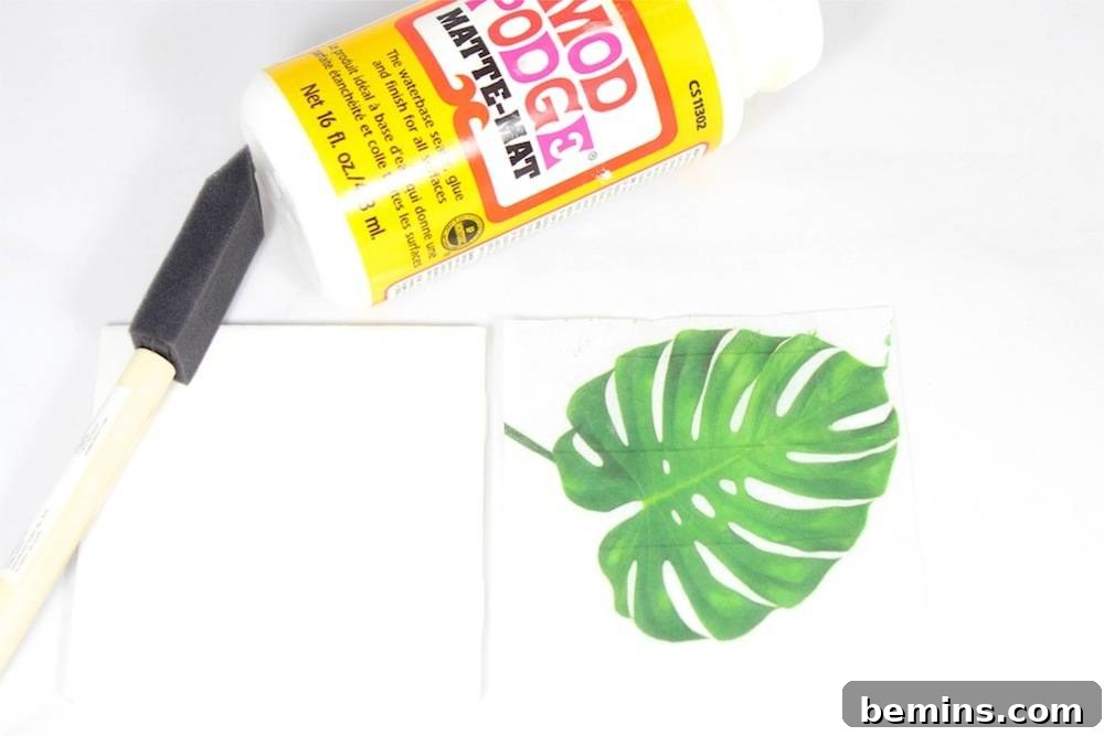 DIY Tropical Leaf Coasters: A Touch of Paradise at Home 3 Materials needed for this project
