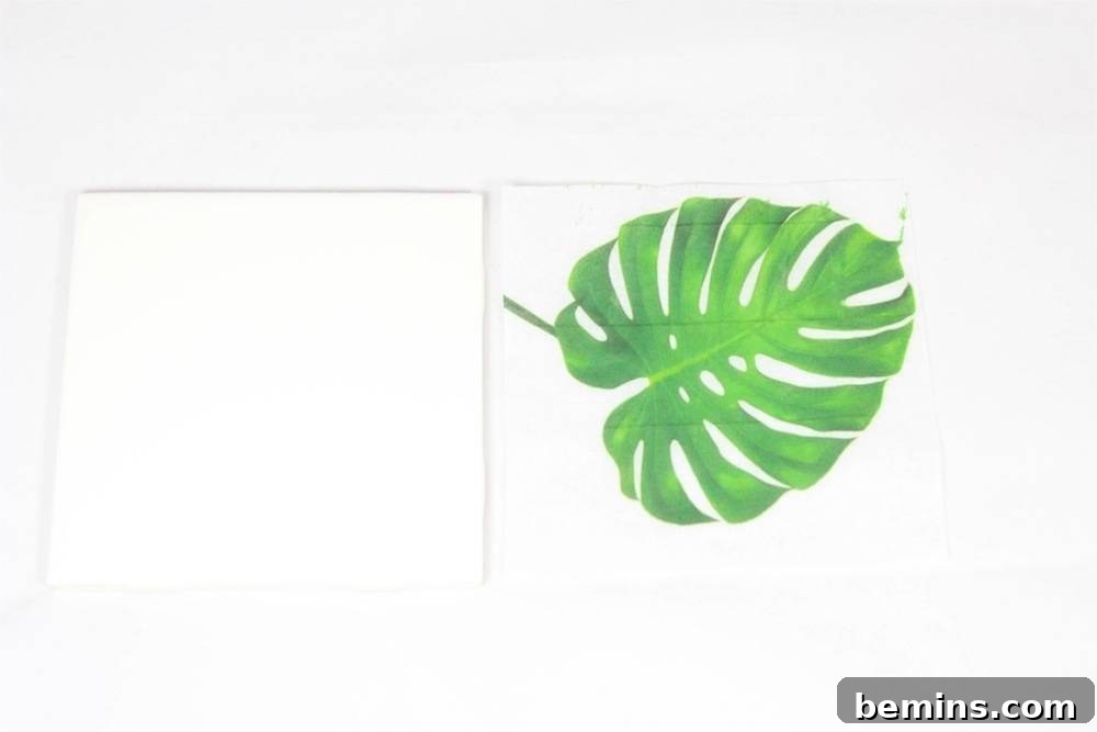 DIY Tropical Leaf Coasters: A Touch of Paradise at Home 6 Tropical leaf and white tile coaster
