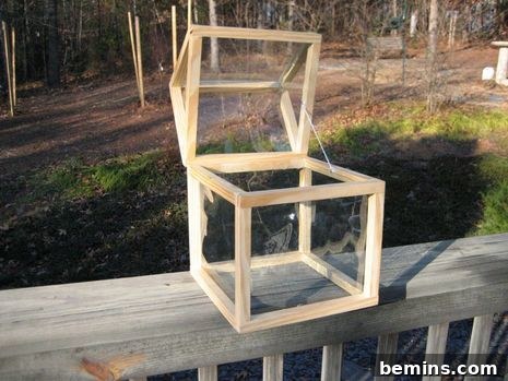 Finished Countertop Greenhouse with the top open