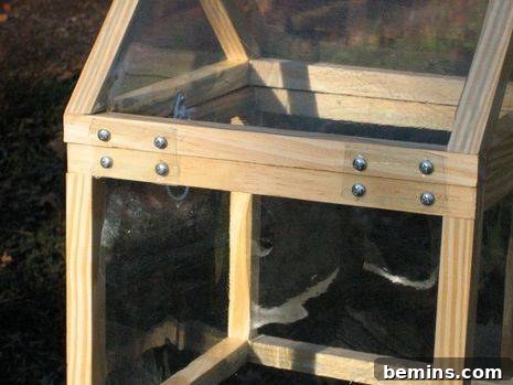 The hinges in place.