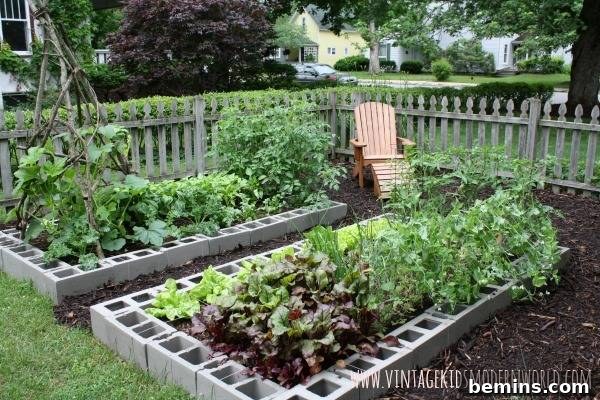 Cinder block borders surrounding garden beds