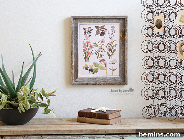 Botanical Specimen Art Print - All-Season Home Decor