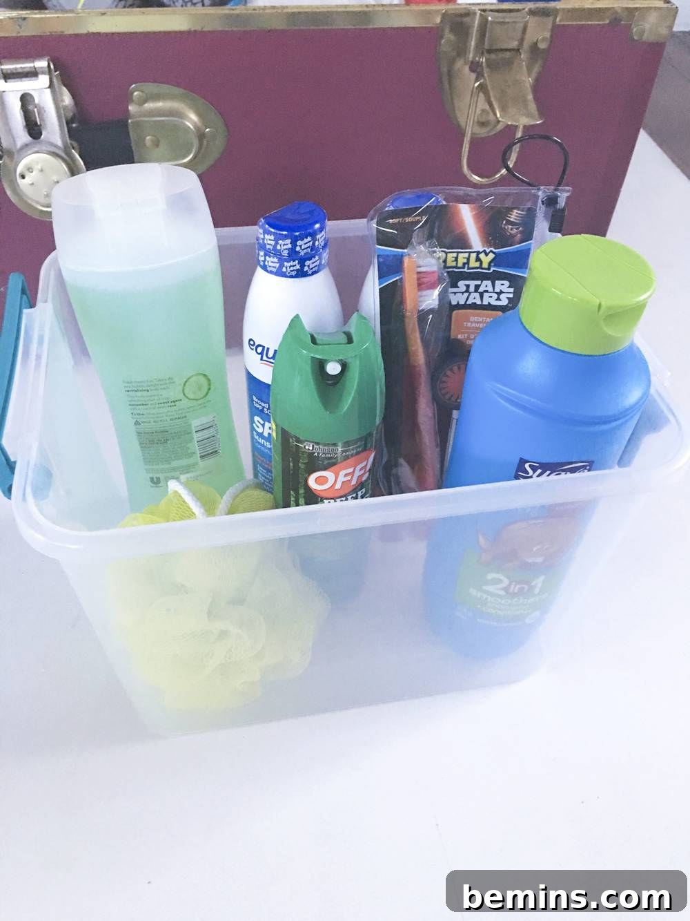 Toiletries in a Shower Caddy for Camp