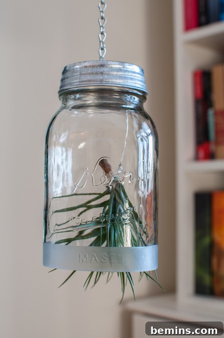 How to Craft a Hanging Air Plant Terrarium from a Mason Jar 2 Mason Jar Hanging Air Plant Planter