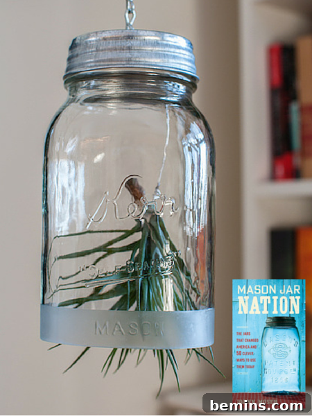 How to Craft a Hanging Air Plant Terrarium from a Mason Jar 7 Hanging Air Plant Planter
