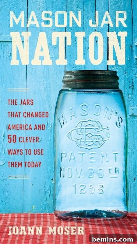 How to Craft a Hanging Air Plant Terrarium from a Mason Jar 8 MASON JAR NATION cover