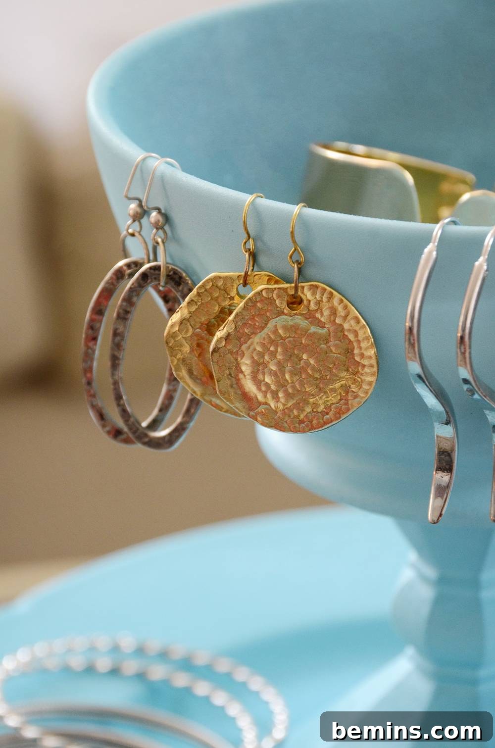 Hanging Earrings on Organizer