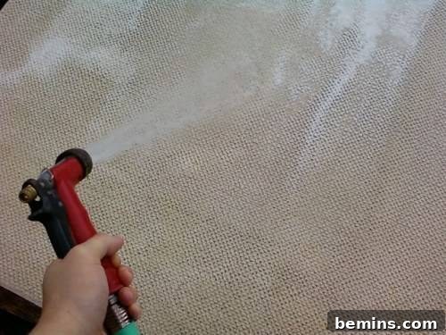 Deep cleaning a rug