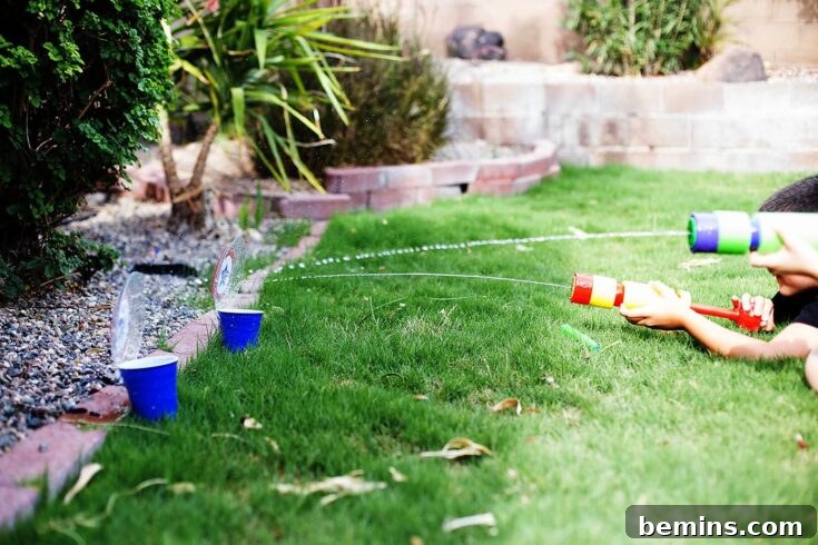 Squirt Gun Targets