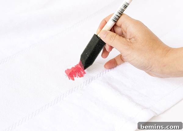 DIY popsicle tote and watermelon beach towel