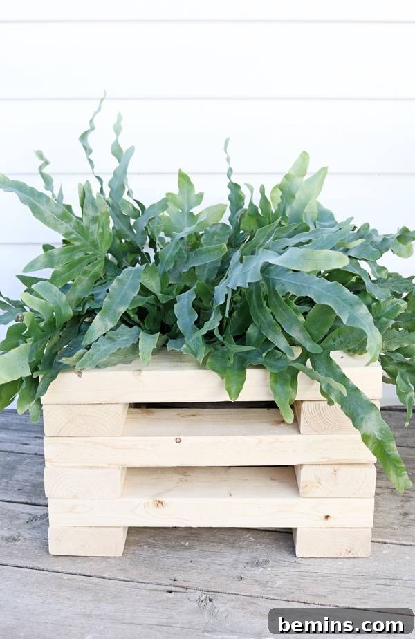 Finished DIY Modern Outdoor Planter in Garden